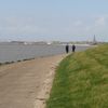 Vogelroute Harlingen