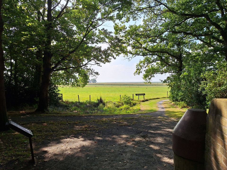 Wandelroute Gaasterland: Jolderenbos, Rijsterbos en Elfbergen