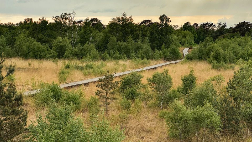 De rode knuppebrug route Groote Peel