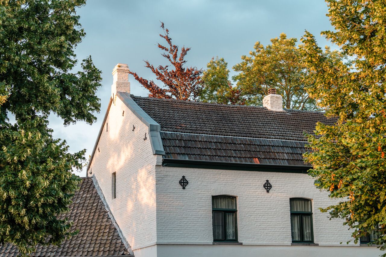 Het dak van de Bemvoortse Molen