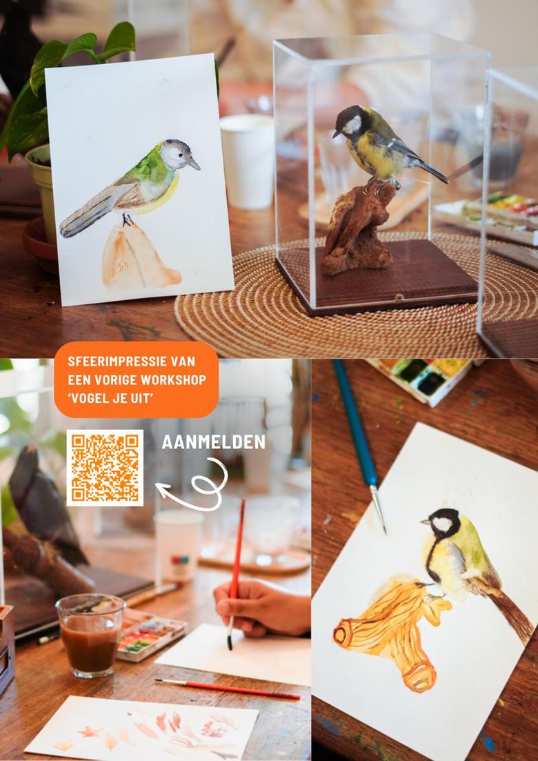 Workshop Vogels tekenen en schilderen o.l.v. Evie Mariek Meij