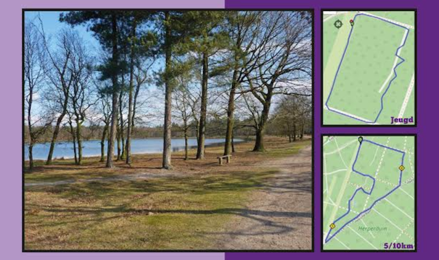 Foto van bos met kaart ernaast