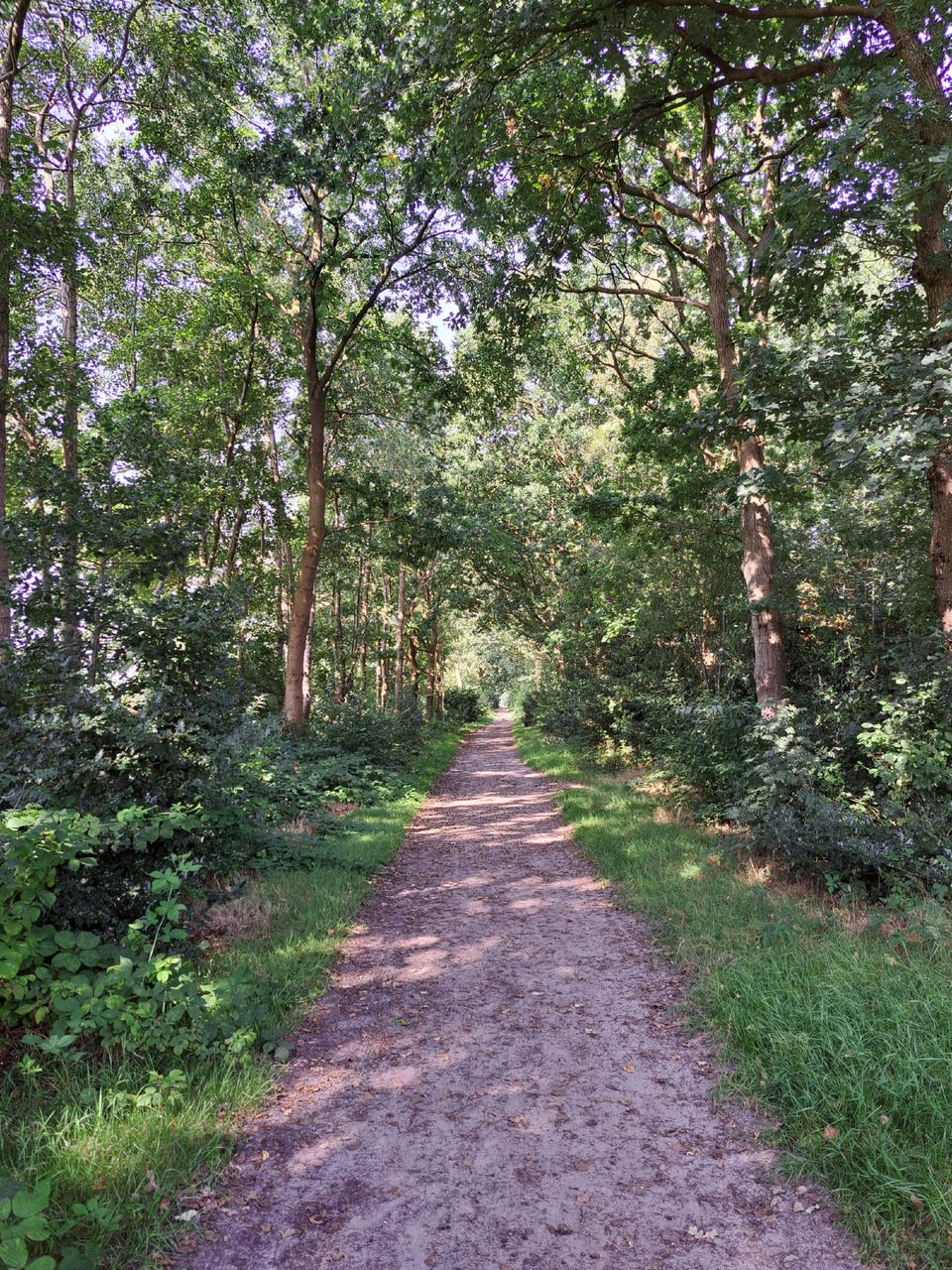 Rondje Feanwâlden – Bûtefjild