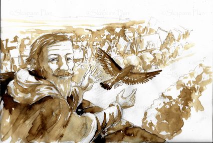 Afbeelding die de Mauritsduif visualiseert, als toevoeging aan het verhaal 'De duif van Maurits'