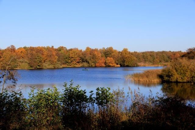 een meertje omringt door een bos in de herfst