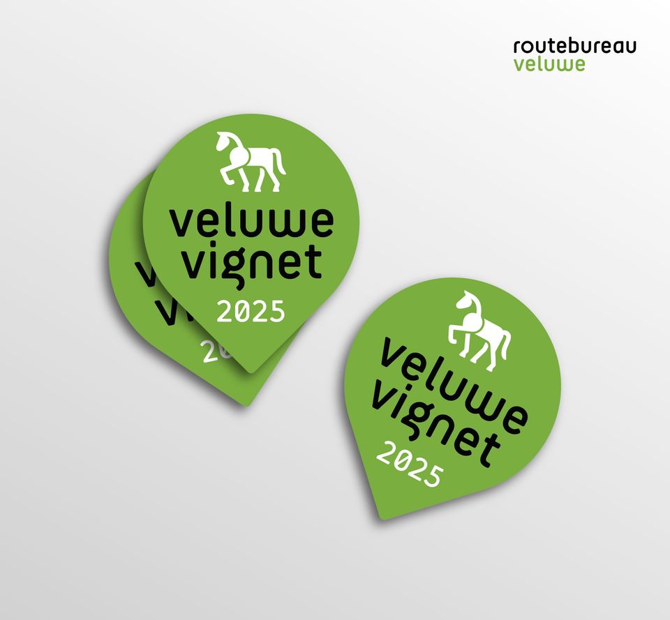 Veluwe Vignet paardrijden