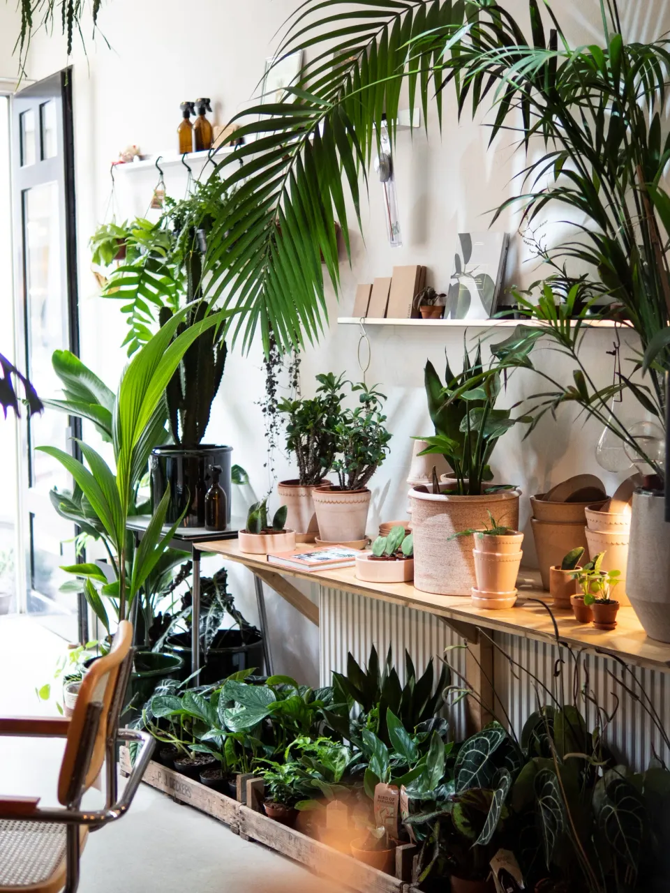 wonder woud bloempotten planten maison rowena