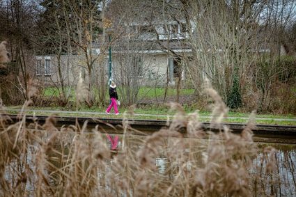 Winterwandeling langs het water in Woerden, Groene Hart, met een wandelaar op een groen pad tussen kale bomen en riet langs de oever. Foto: Harald Lakerveld.