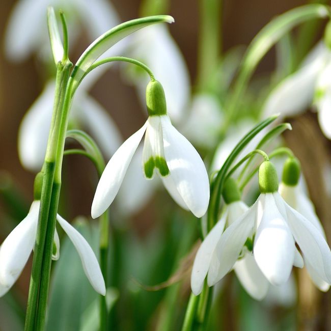 php15mi6e92glbqcYFButW