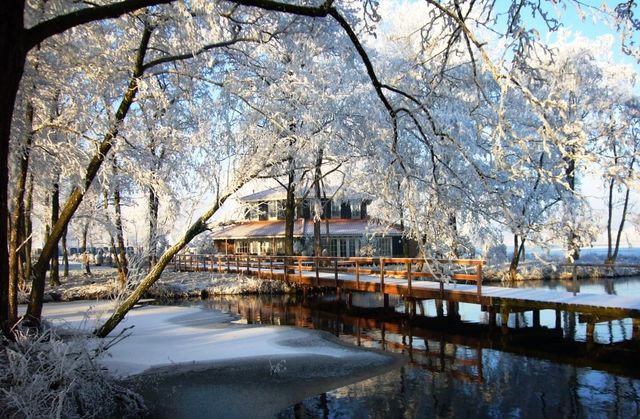 Een sprookjesachtige winterscene bij Kameryck, waar rijp de bomen omhult en het houten bruggetje richting de karakteristieke boerderij warm oplicht in het winterzonnetje. De reflecties in het water en de serene stilte maken dit tot een magisch tafereel midden in het Groene Hart.