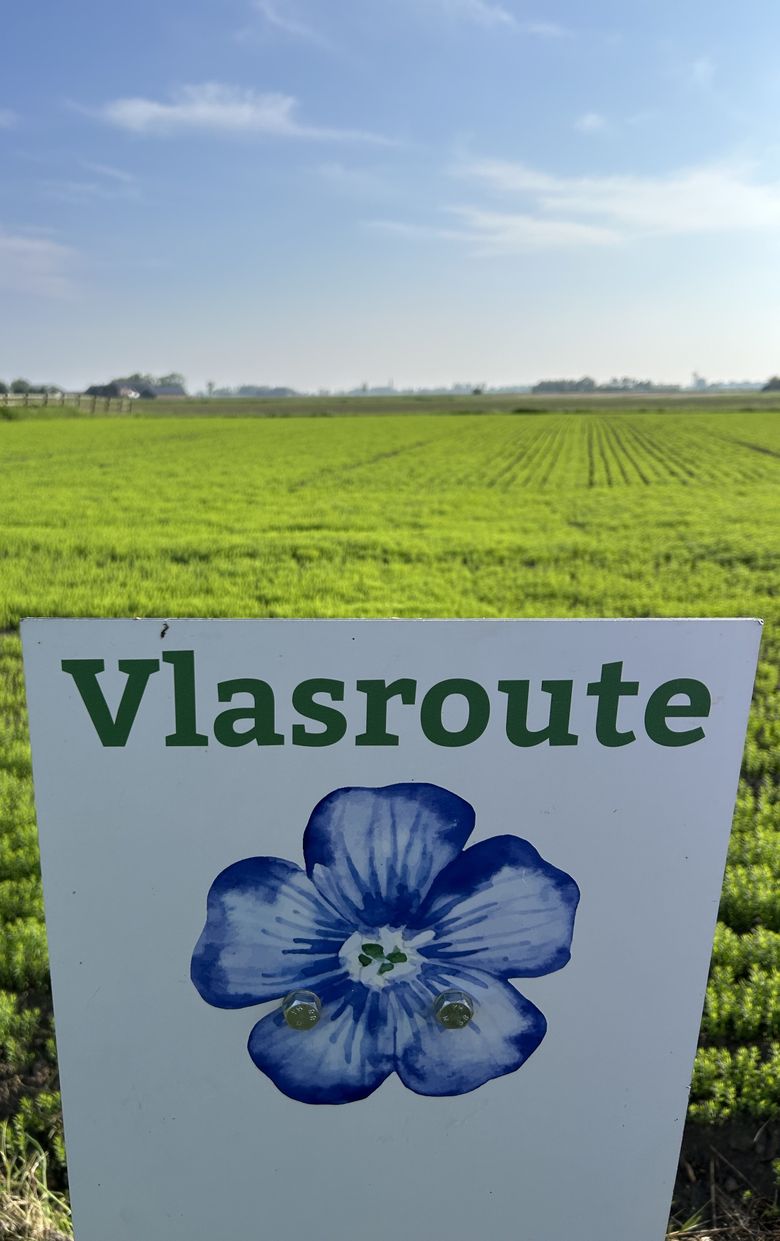 Vlasroute