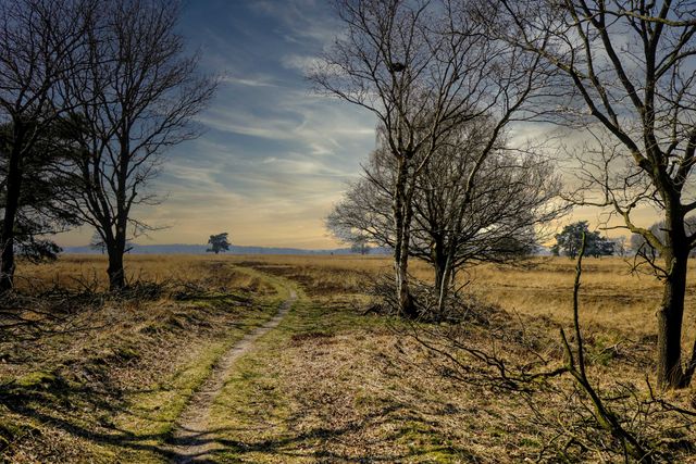 Hijkerveld