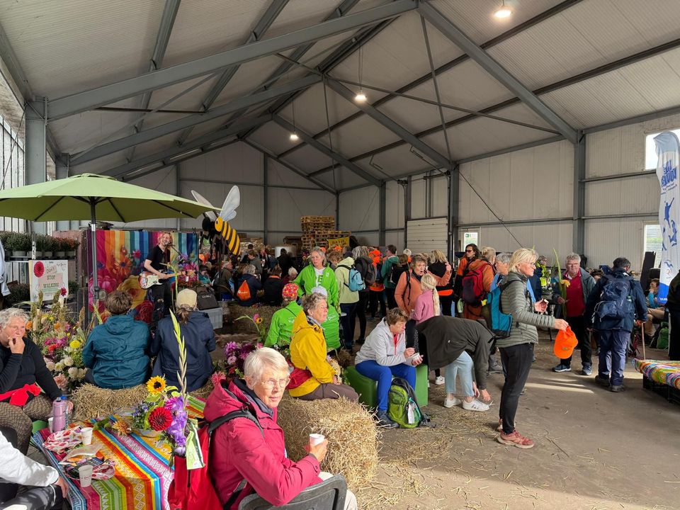 Afbeelding van de Duin en Bollen Vierdaagse