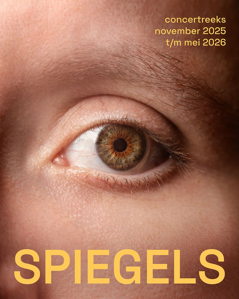 Utrechts Requiem: Spiegels