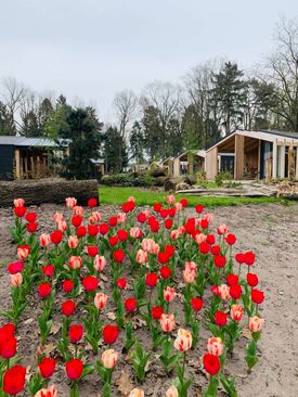 EuroParcs Resort De Utrechtse Heuvelrug photo 2