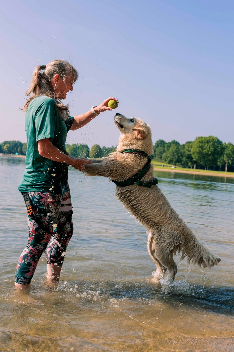 Baasje en hond spelen in het water.