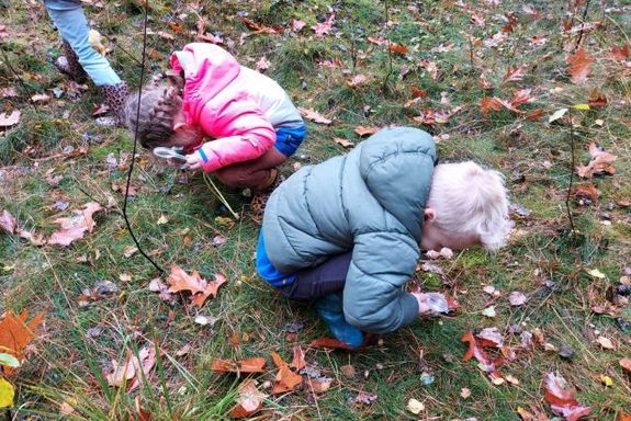 IVN vleermuizen excursie