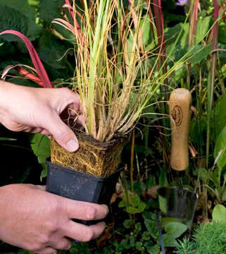 Workshop Beplantingsplan voor je tuin