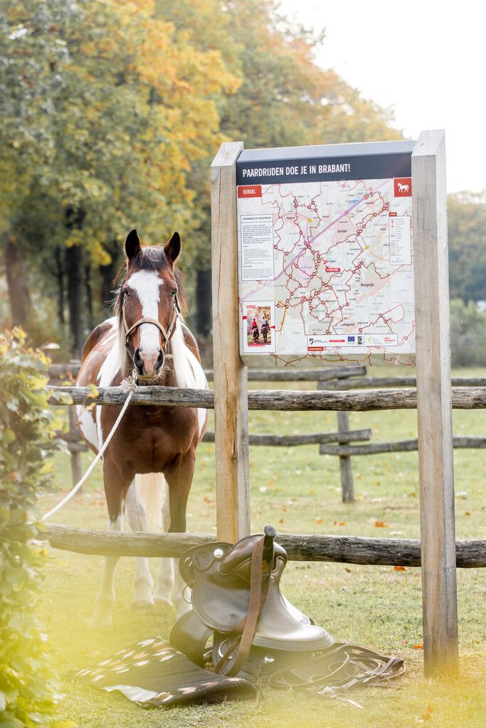 Paneel met ruiterroutes in De Kempen.