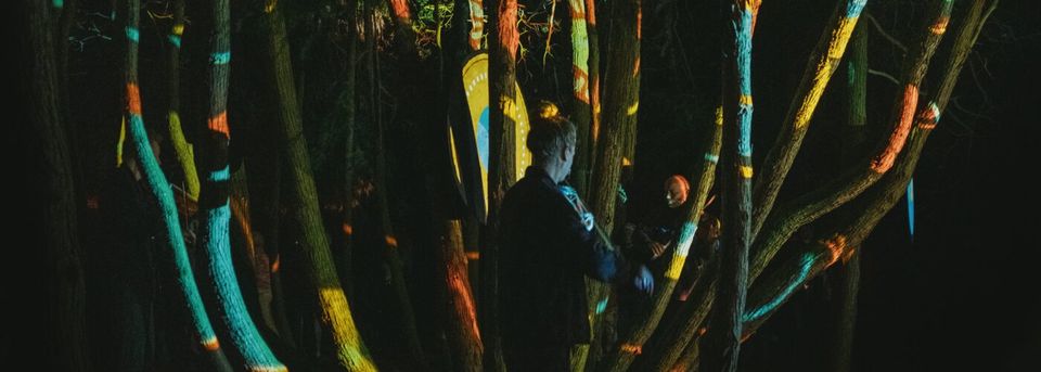Strijklicht, een compositie van bomen