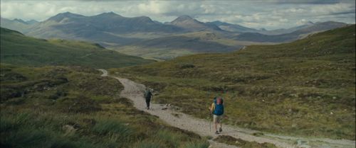Mensen die op een weg door de natuur lopen