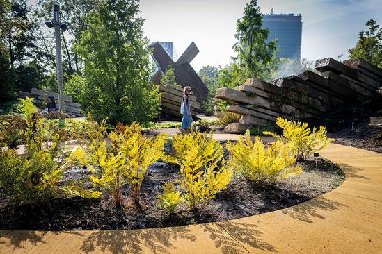 Openingsweekend Evolutietuin