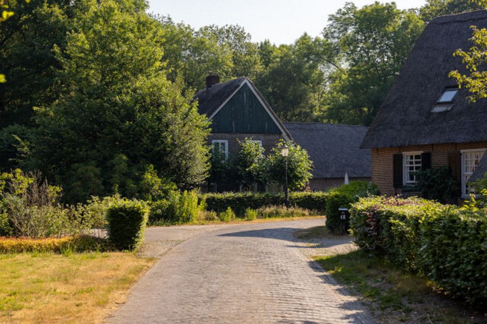 Eine Straße zwischen Bauernhöfen