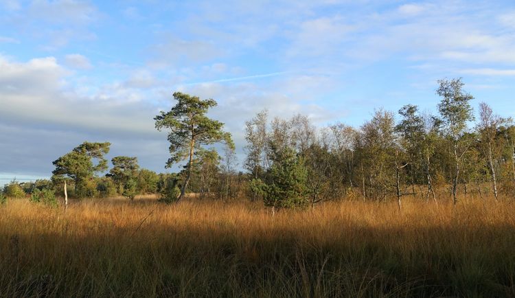 Peelontdektocht Herfst in de Groote Peel