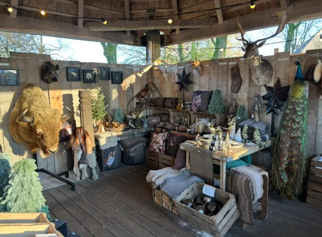 Ein Geschäft für Wohnaccessoires in Assen, Drenthe.