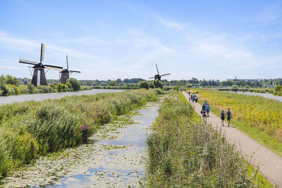 Historisch molenlandschap Kinderdijk, Molenlanden, UNESCO Werelderfgoed in het Groene Hart. Wandelpad langs de iconische windmolens met rietkragen, watergangen en recreanten die wandelen door het karakteristieke Nederlandse polderlandschap.