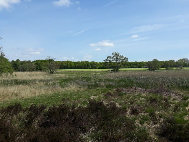 Het groene Norger Esdorpenlandschap met blauwe lucht.