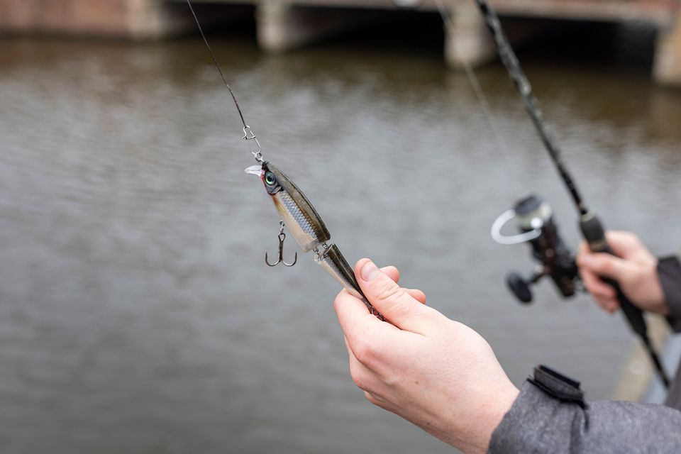 vishaakje met hengel