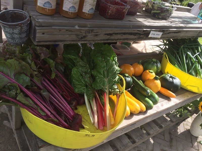 Verse groenten uit de pluktuin op Landgoed Bredius in Woerden, lokaal en duurzaam geteeld in het groen.