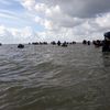 Wadlopen naar Schiermonnikoog (Brakzand)