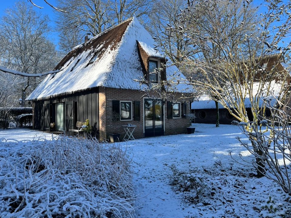 Vakantiehuis in het bos |Winter
