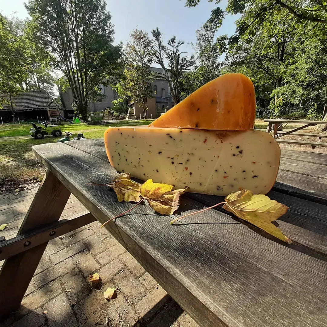 Zuivelboerderij De Driehoek kaas