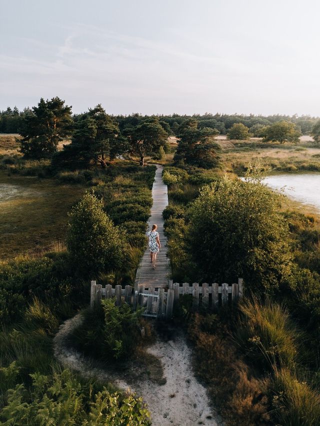 Wandelaars op een vlonderpad in De Malpie.