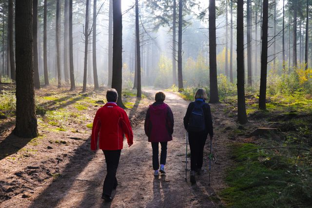 Een groep van 3 wandelt door de bossen bij Leersum