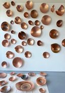 Tentoonstelling - omADEM