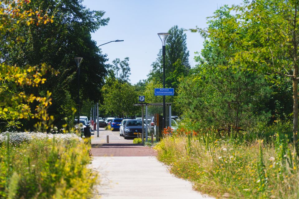 Surroundings Martinus Veltmanpassage Waalwijk