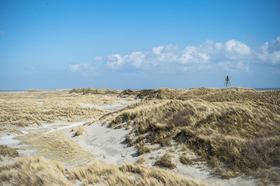 Ameland