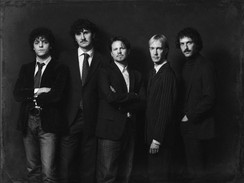 Muziek: The Young Analogues