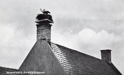 Zwart-wit beeld van historisch ooievaarsnest op schoorsteen aan de Hoogstraat 6 in Montfoort, Groene Hart