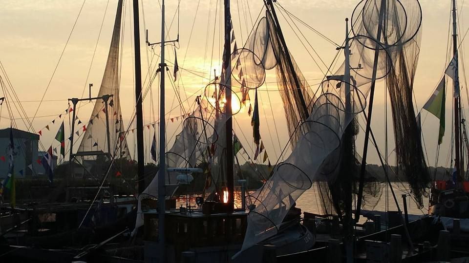 Visserijboten naast elkaar in Makkum