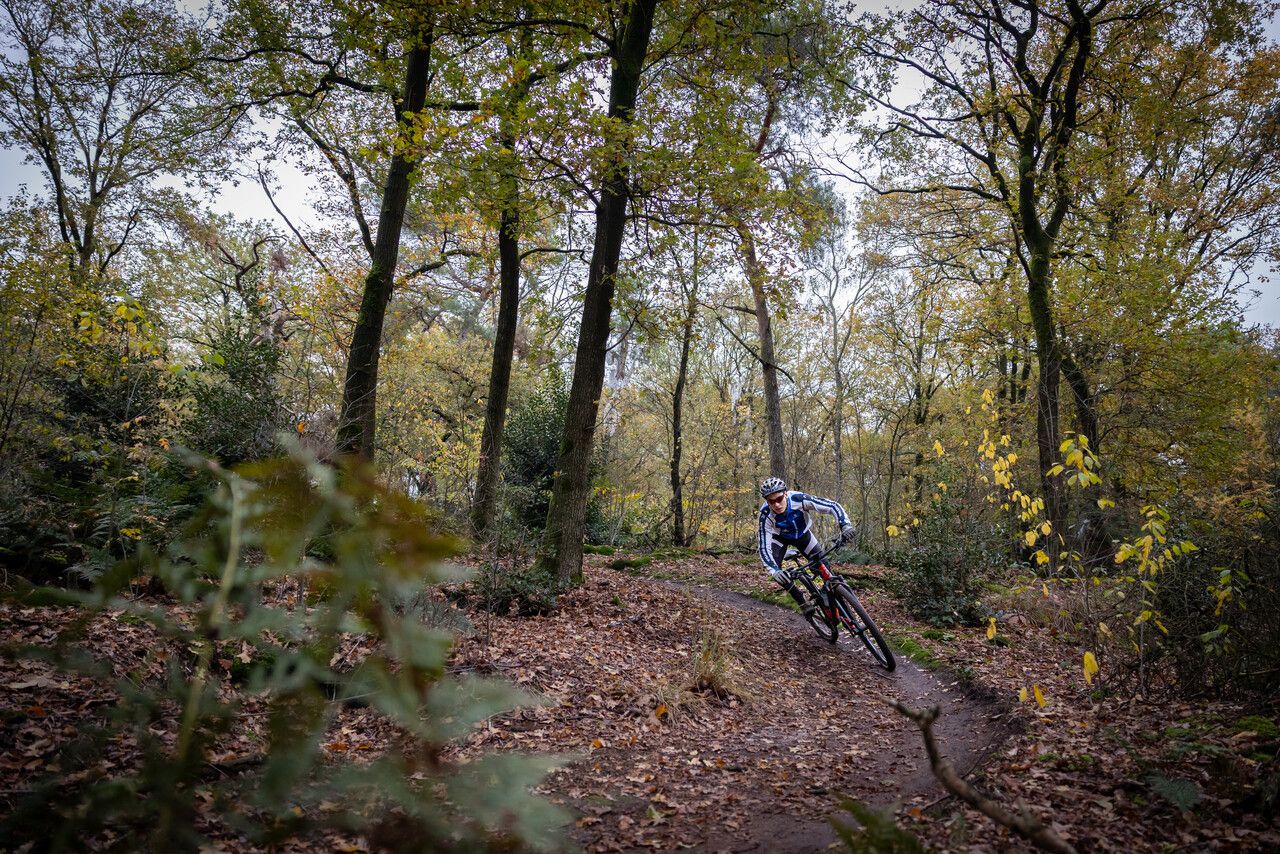 MTB'er in De Schietberg