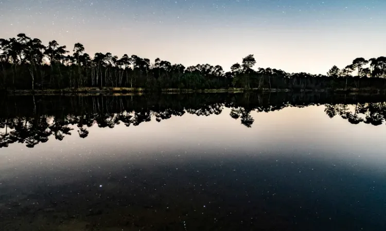 Avondfoto van een deel van de Oisterwijkse bossen met op de voorgrond een van de vennen.