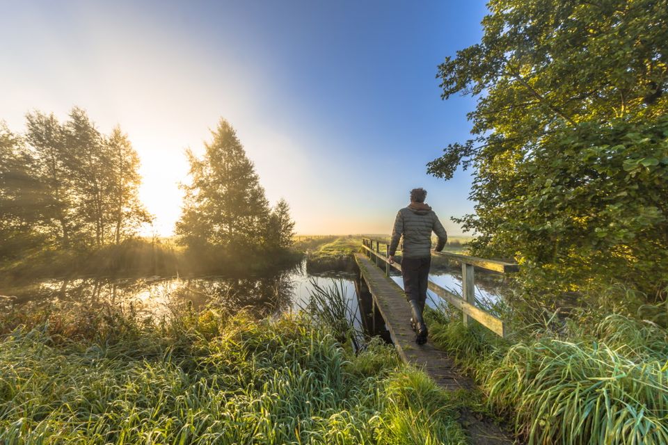 Een man wandelt in Nationaal Park de Drentsche Aa