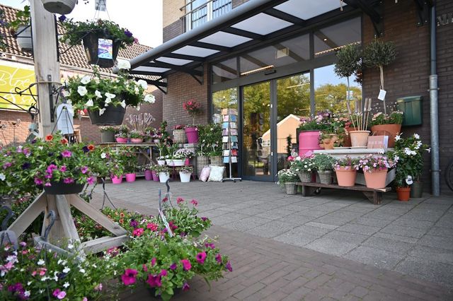 Voorzijde van een bloemenwinkel waar allerlei potten en hangers met bloemen voor staan.
