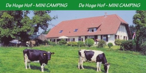 Minicamping en Rundveehouderij De Hoge Hof photo 2