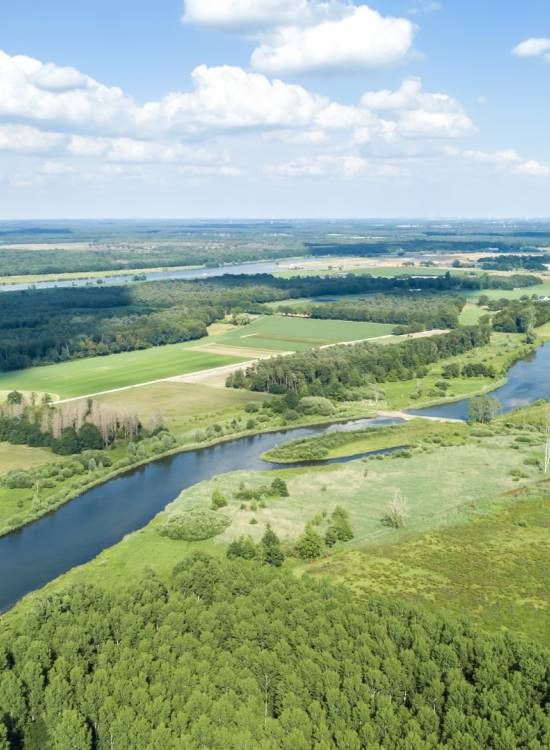 Omgeving van het Maaspark
